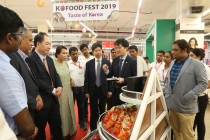 경제성장 동시 도시화 진행된 인도시장, 1인 가구 비중 확대