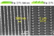 줄기세포 배양 ‘나노바늘구조 지지체’ 개발