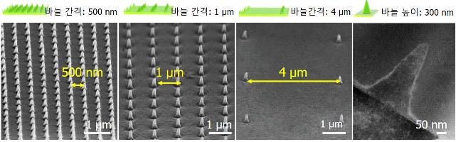 줄기세포 배양 ‘나노바늘구조 지지체’ 개발
