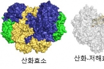 메탄 먹어치우는 미생물 생리 규명됐다