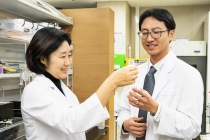 생분해성 소재로 환경위험 줄이는 나노공정 길 열려