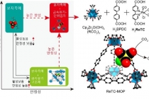 촉매 활성·안정성, 분자 케이지로 감싸서 높인다