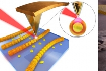 빛이 만들어내는 신비한 힘에 대한 비밀 풀렸다