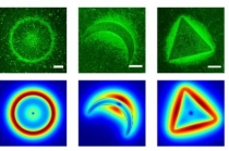 실리콘 나노구조체로 미생물간 대화 순간포착 가능해져