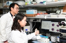 나노물질 불안감, '표준'으로 해소한다