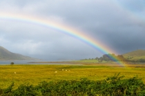 영국, 전 세계 클린테크의 선두주자 ‘시민·기업·정부 모두의 노력’