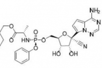 코로나19 치료제 확보 필요, 렘데시비르 조속 수입 결정
