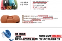 거북목 베개 '의료기기 효능' 허위광고 적발, 접속차단 조치
