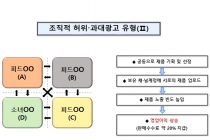 비공개 SNS 통해 허위·과대광고 등 부당광고 업체 적발