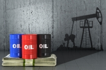 석유산업 소수 거대기업 독점 강화…한국 에너지 안보 ‘취약’