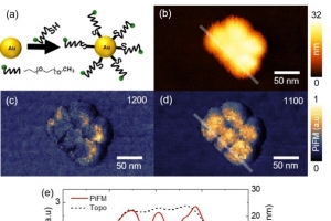 독자 개발한 초분광 광유도력 현미경, 나노입자 표면 화학적 이미지 관찰 성공