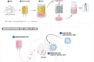 국내 개발 코로나19 치료제·백신 국내 임상시험 총 16건 진행