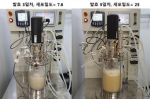 식품소재·바이오플라스틱 원료, 메탄에서 얻는다