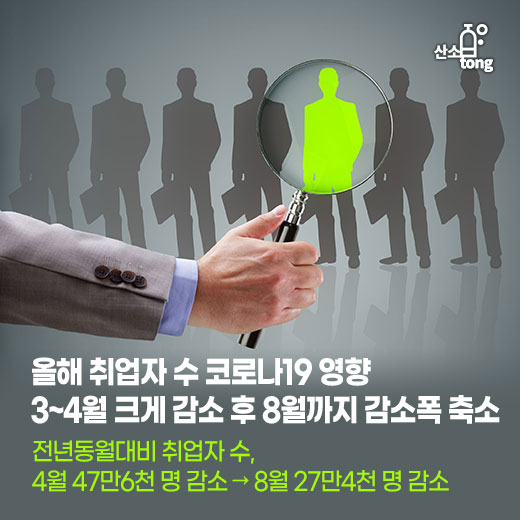 [카드뉴스] 올해 취업자 수 코로나19 영향 3~4월 크게 감소 후 8월까지 감소폭 축소