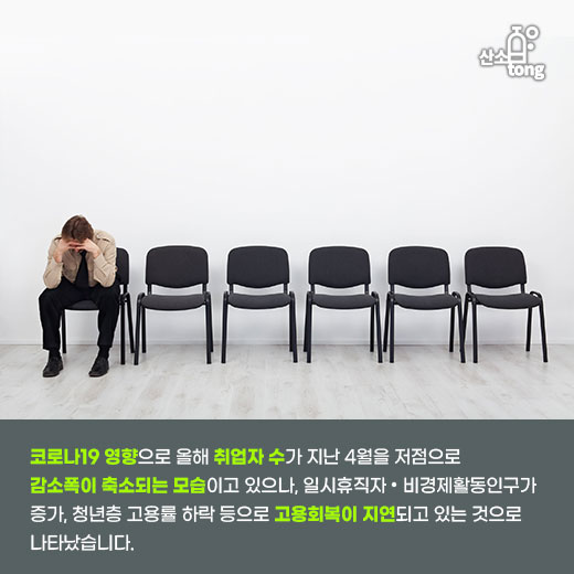 [카드뉴스] 올해 취업자 수 코로나19 영향 3~4월 크게 감소 후 8월까지 감소폭 축소