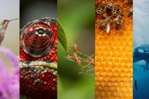 비용절감 및 가치 증대 위한 ABB Adaptive Execution™ 출시