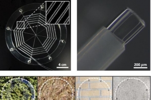 거미줄 이용한 먹이잡기 모사한 거미줄 로봇 개발 성공