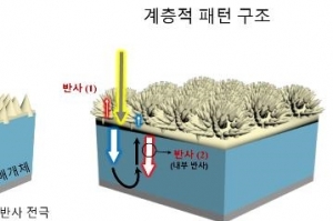 광학 비대칭성 필름, 빛 손실 막아준다