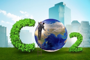 ‘제조업 비중 높은 한국 산업구조 고려한 저탄소 발전전략 마련해야’