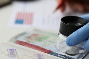 올해 무역사기 166건 작년 2배 이상 증가