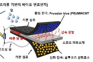 땀으로 전기 만드는 섬유 이용해 바이오 연료전지 개발
