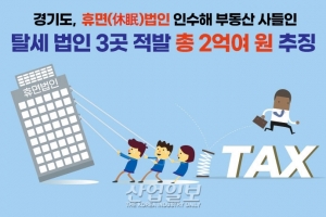 [그래픽뉴스] ‘휴면법인’ 인수, 부동산 매입 탈세 법인 2억여 원 추징
