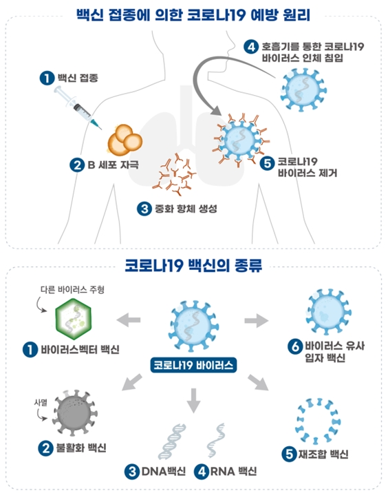 국내 개발 코로나19 백신(1상)·치료제(2상) 임상 승인