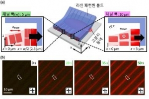 고분자 배향, 커피얼룩효과로 극대화 기술 개발