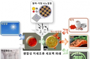 마이크로 미세조류, 석영 나노면도날 이용해 파쇄