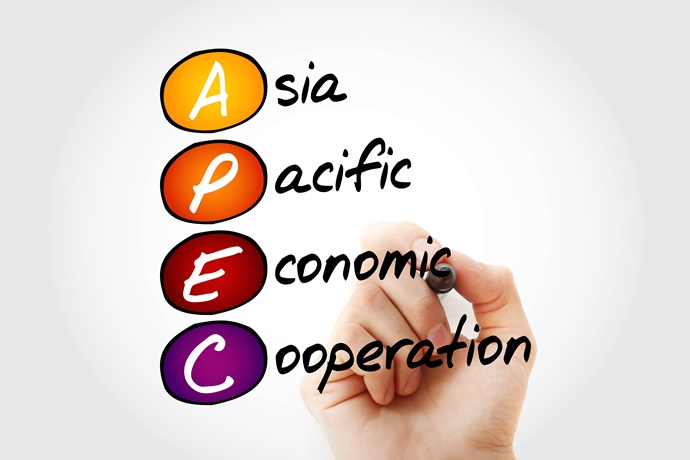 2020 APEC 정상회의 성과, 공동성명 채택·미래비전 제시