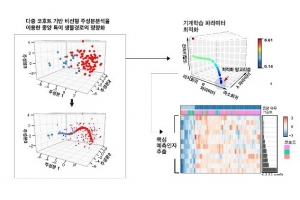 인공지능으로 암진단 알고리즘 개발하는데 성공