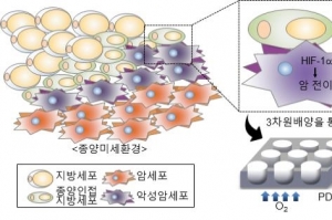 암세포, 지방세포 내 지방산 타고 움직인다