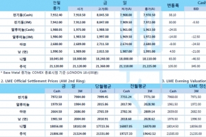 [1월18일] 미 $1.9조 달러 부양책 승인, 증시 하락하자 달러 강세(LME Daily Report)