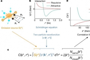 강한 핵력의 세계, 거대강입자가속기로 밝혔다