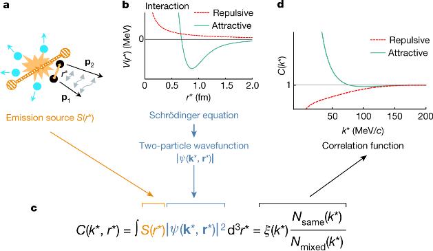강한 핵력의 세계, 거대강입자가속기로 밝혔다