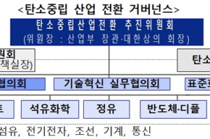 정부, 탄소중립 산업전환 특별법 제정 등 '탄소중립 5대 핵심과제' 제시