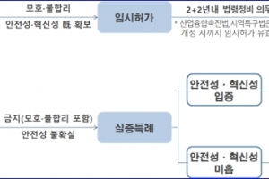 선택과 집중 통한 특례 승인율 제고, 특례 기업 조기 사업화 지원
