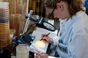 랑세스, 포장용 방균제 전문기업 ‘인타스’ 인수