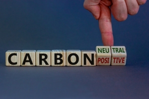 국제사회 '탄소중립' 동참 본격화…기후변화 정책 핵심은?