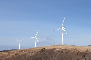 탄소중립 이행 중요 정책 수단 '친환경 바람' 만든다