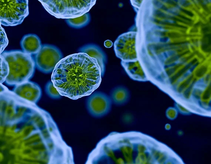 [기술기고] [트렌딩IN광학] 비가시선 이미징