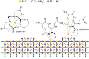 페로브스카이트 적색 발광소자 색 안정성 높이는 실마리 발견했다