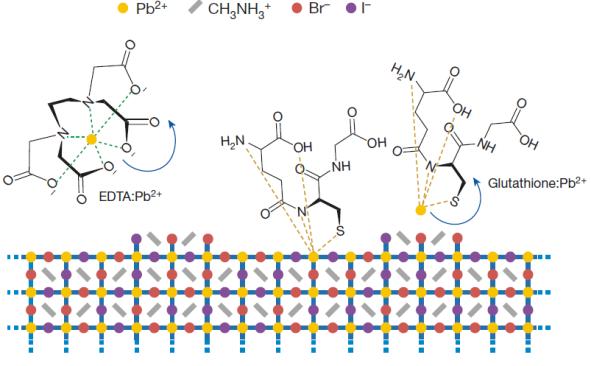 페로브스카이트 적색 발광소자 색 안정성 높이는 실마리 발견했다
