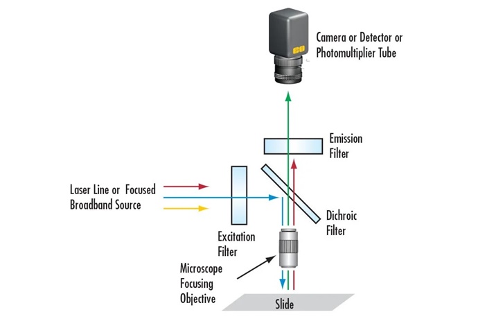 [기술기고] 광학을 이용한 신종 코로나 바이러스 진단