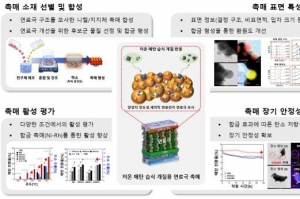 연료전지 수소생산성·탄소저항성 개선, 합급촉매로 실현