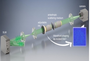 사람 몸속 빛으로 꿰뚫어본다...생체조직 투과 광학기술 개발