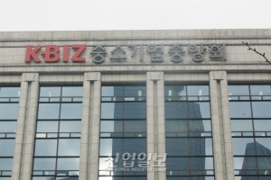 국내 중소기업 디지털 성숙도 ‘낙제’