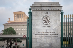 미국이 WTO 개혁에 나선다면…이슈별로 우리 입장, 조속히 정립해야