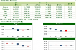 [6월1주차] 미국 일일 코로나 확진자 수 '감소세'(Weekly Metal Report)