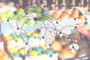 국제 원자재 가격, 5월 중순 기점으로 다소 ‘진정’